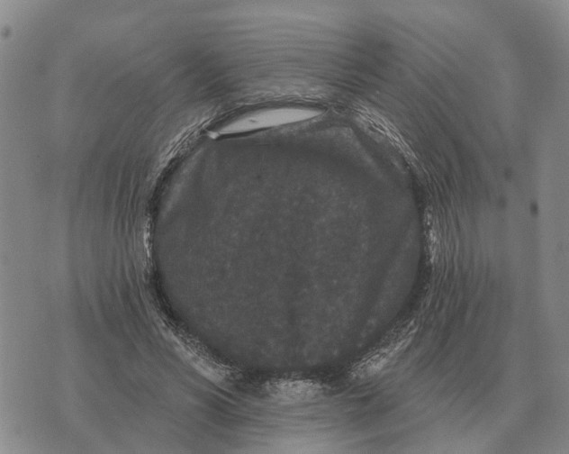 X0000072540590200608041624