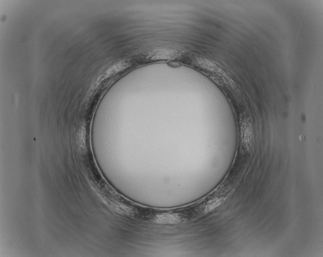 X0000072540591200608041624