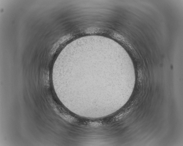 X0000072540592200608041624