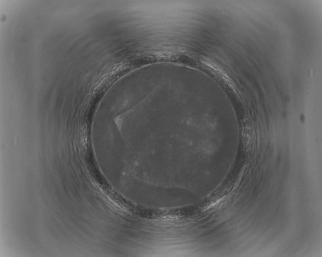 X0000072540593200608041624