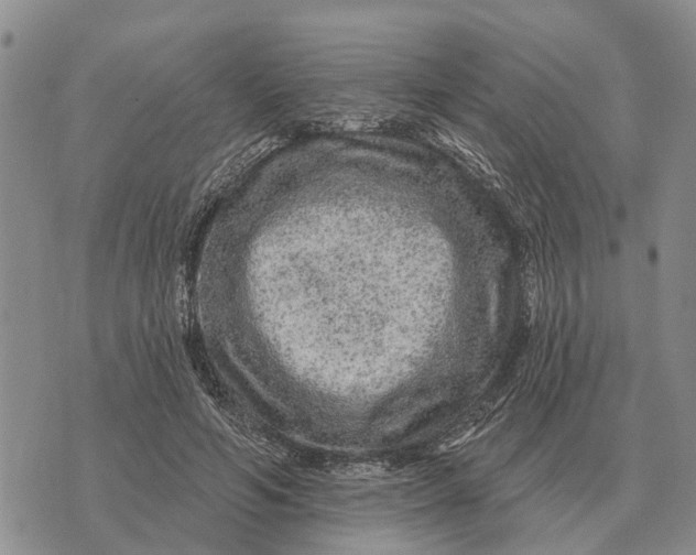 X0000072540594200608041624