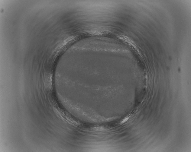 X0000072540596200608041624