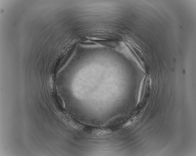 X0000072540597200608041624