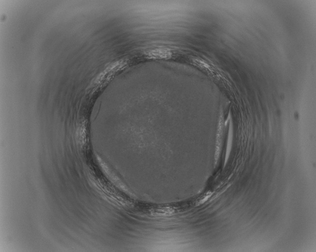 X0000072540600200608041624