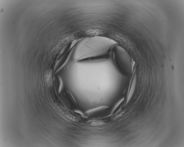 X0000072540601200608041624