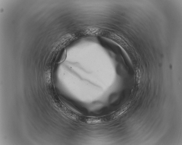 X0000072540602200608041624