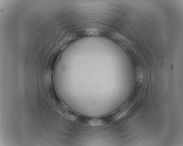 X0000072540603200608041624