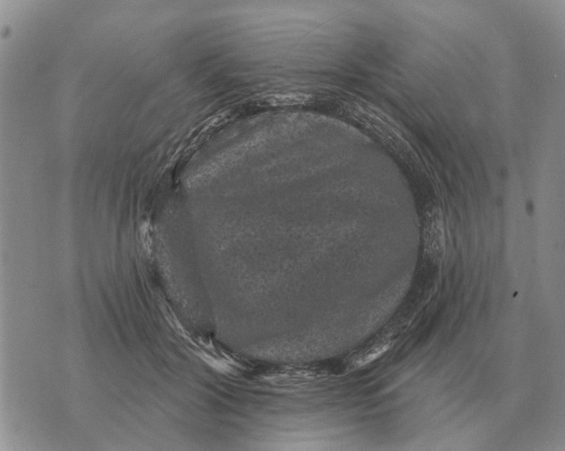 X0000072540604200608041624