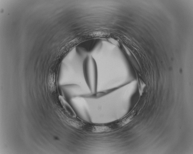 X0000072540605200608041624