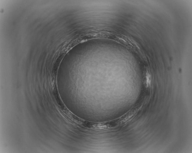 X0000072540607200608041624