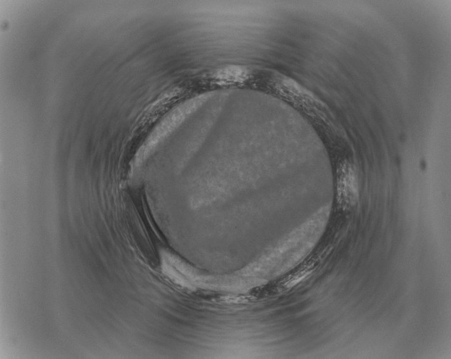 X0000072540608200608041624