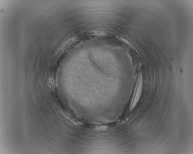 X0000072540609200608041624