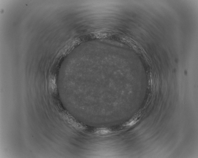 X0000072540610200608041624