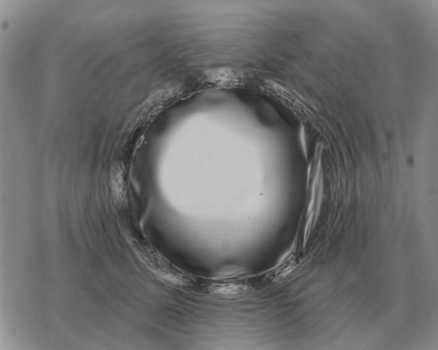 X0000072540611200608041624