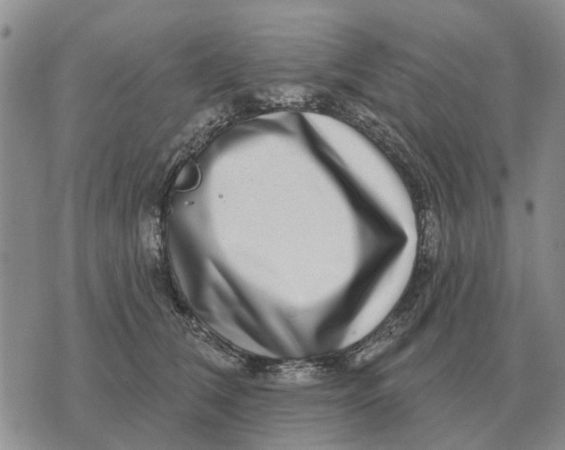 X0000072540612200608041624