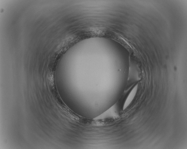 X0000072540613200608041624