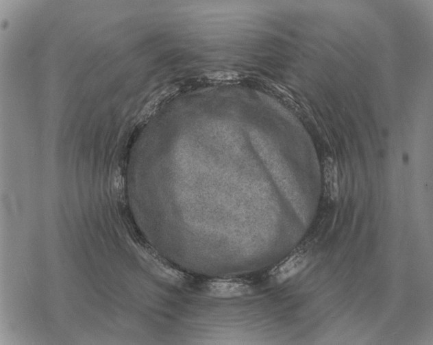 X0000072540614200608041624