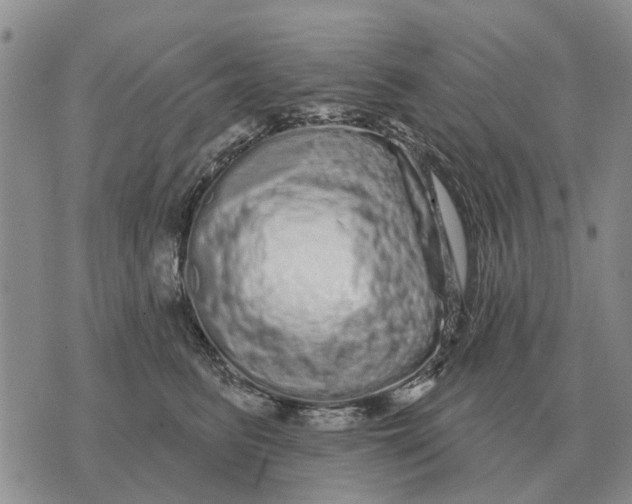 X0000072540615200608041624