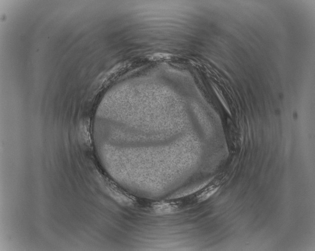 X0000072540616200608041624