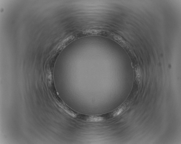 X0000072540617200608041624