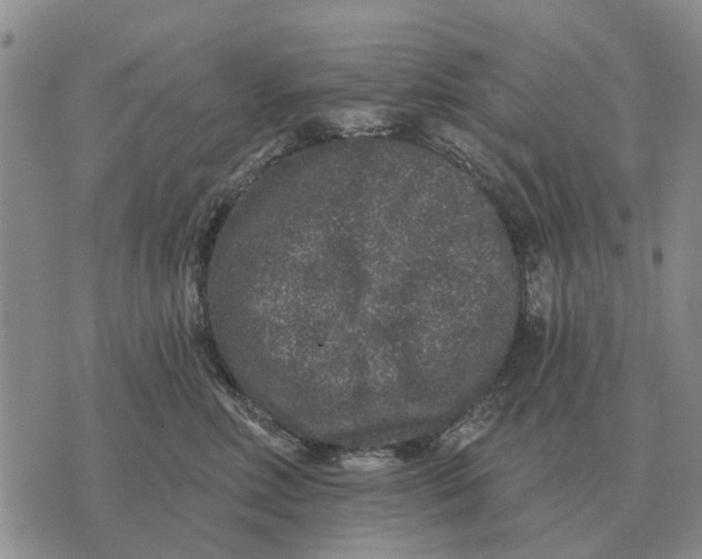 X0000072540618200608041624