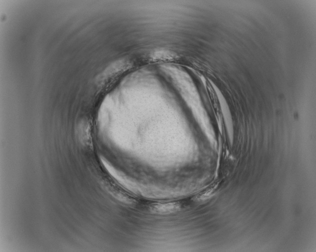 X0000072540619200608041624