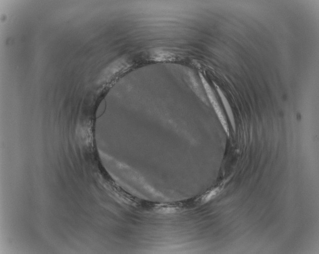 X0000072540620200608041624