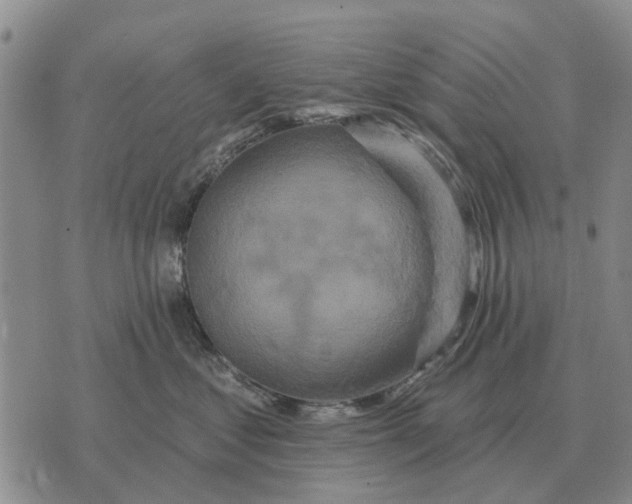 X0000072540621200608041624