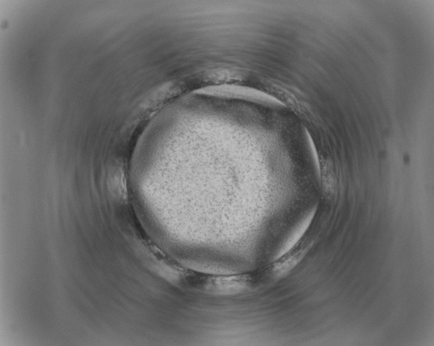 X0000072540622200608041624