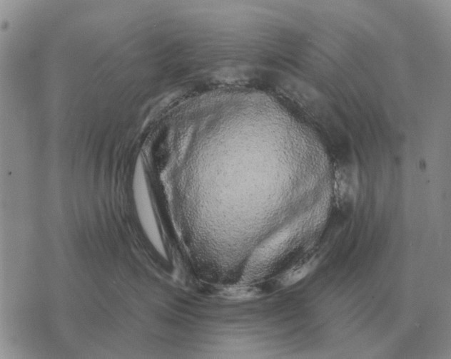 X0000072540623200608041624