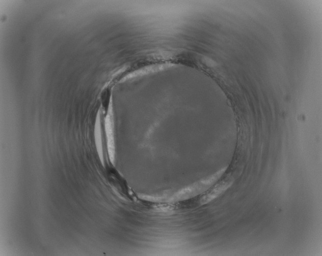 X0000072540624200608041624