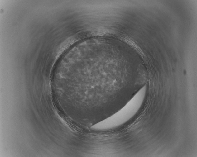 X0000072540626200608041623