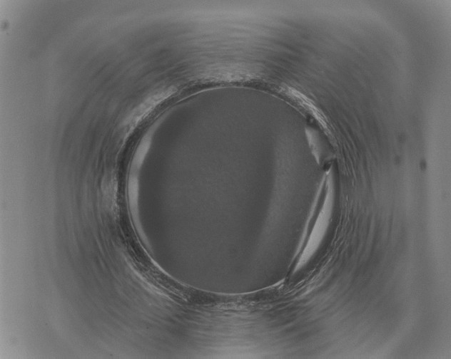 X0000072540627200608041623