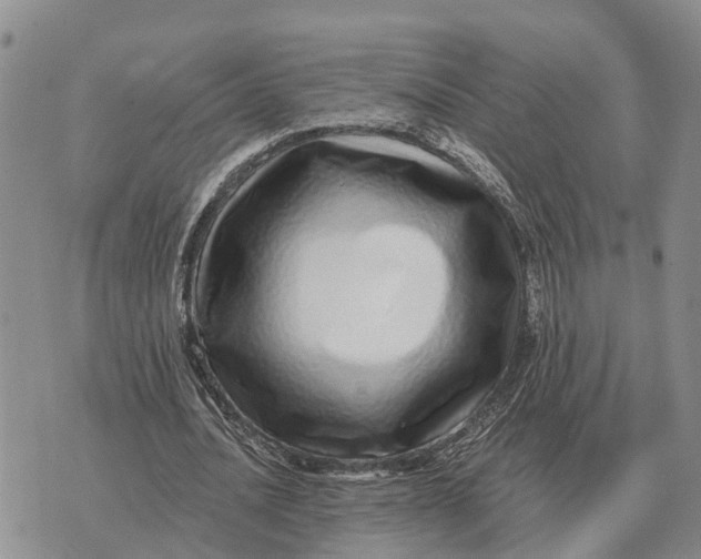 X0000072540628200608041623