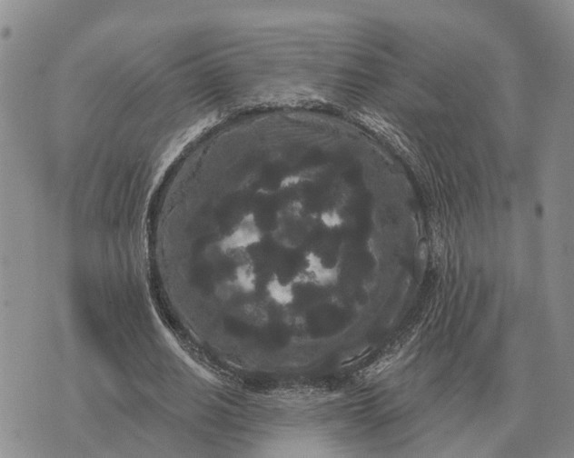 X0000072540630200608041623