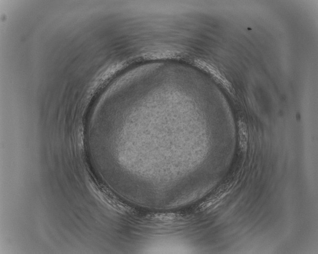 X0000072540631200608041623