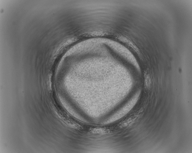 X0000072540635200608041623