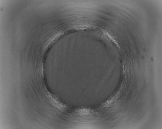 X0000072540637200608041623