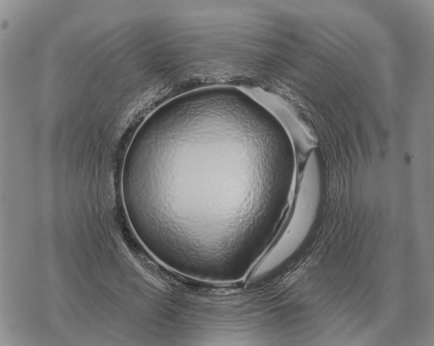 X0000072540638200608041623