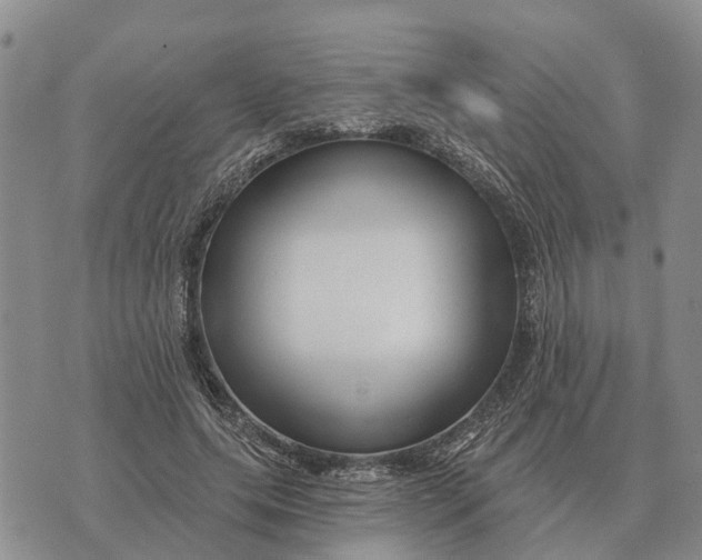 X0000072540639200608041623