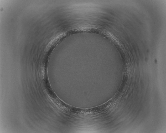 X0000072540640200608041623