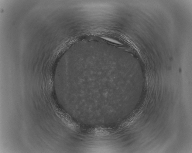 X0000072540641200608041623