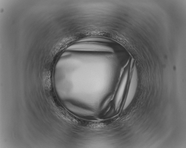 X0000072540642200608041623