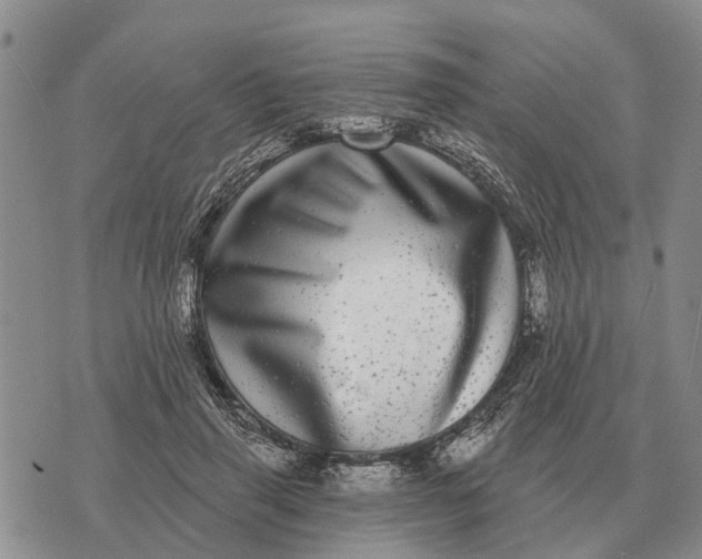 X0000072540645200608041623