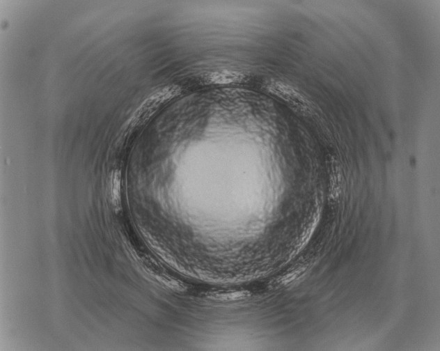 X0000072540646200608041623