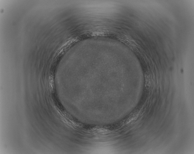 X0000072540648200608041623