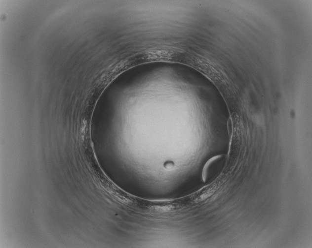 X0000072540649200608041623