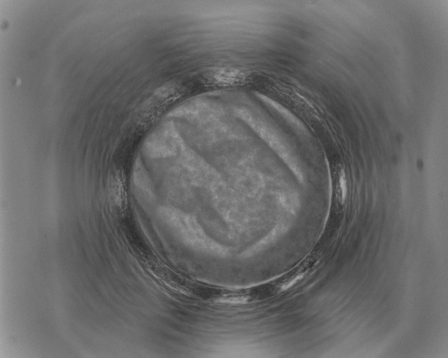 X0000072540651200608041623