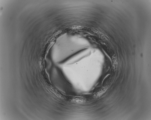 X0000072540655200608041623