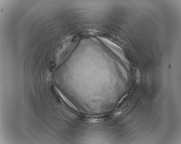 X0000072540657200608041623